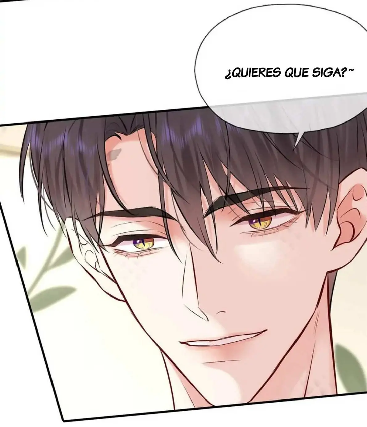 Objetivo Estratégico Capitulo 13 página 17
