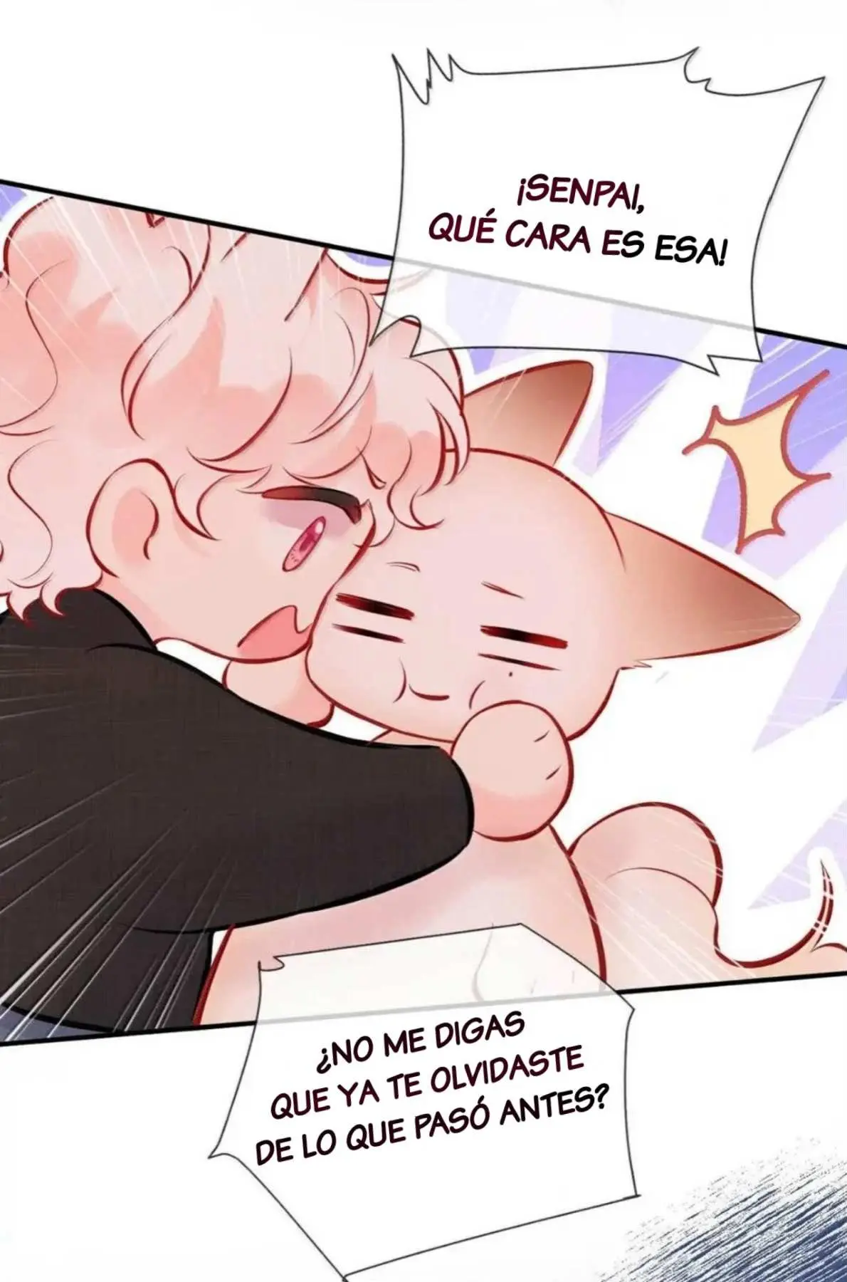 Objetivo Estratégico Capitulo 19 página 47