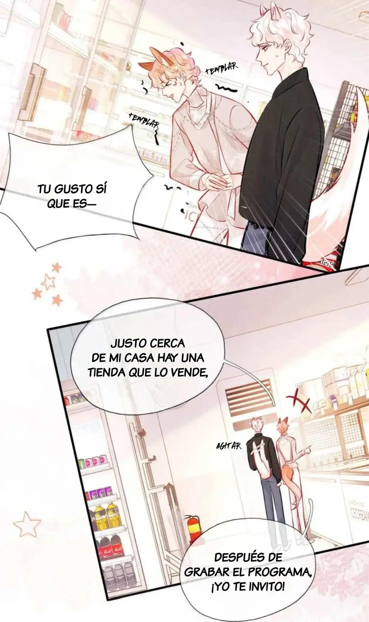 Objetivo Estratégico Capitulo 21 página 14