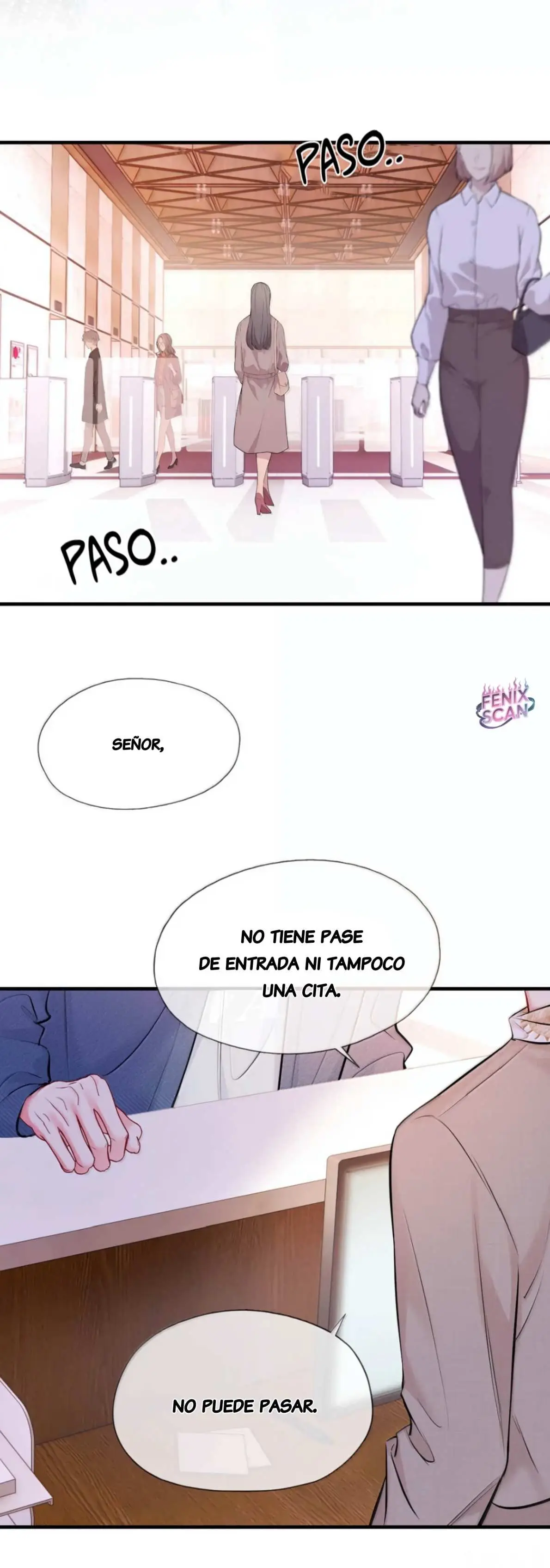 Objetivo Estratégico Capitulo 33 página 17