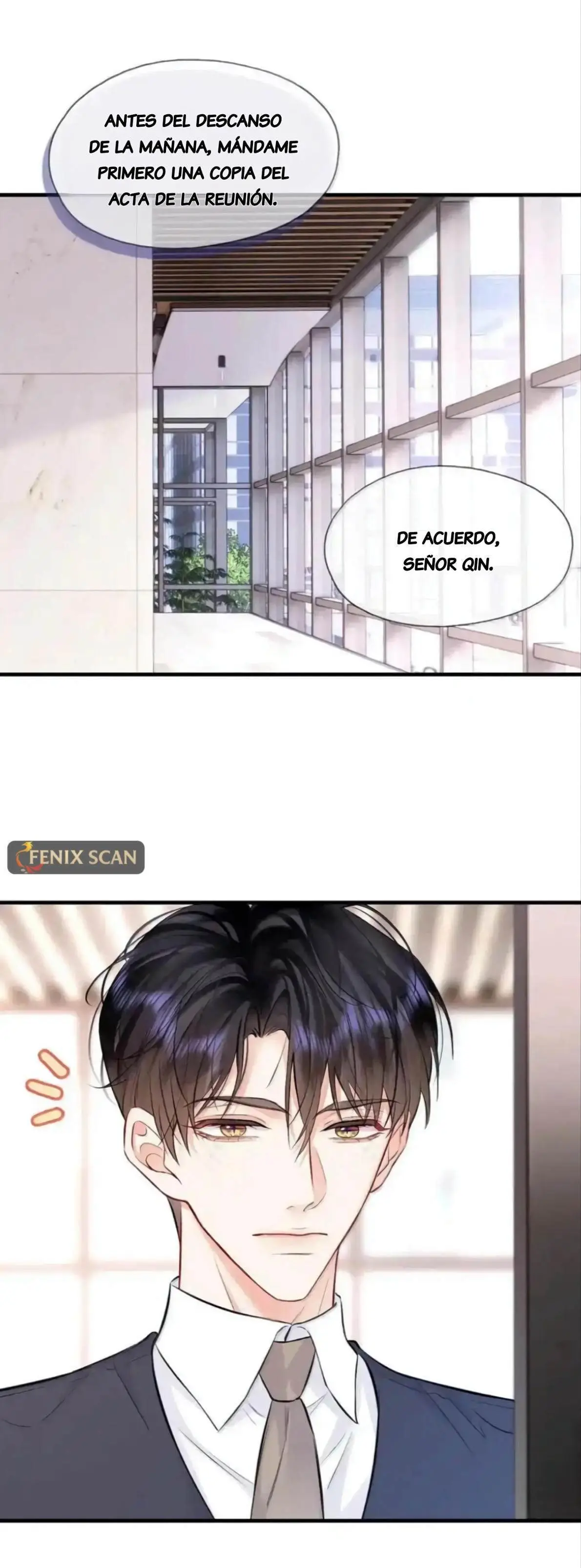 Objetivo Estratégico Capitulo 37 página 4