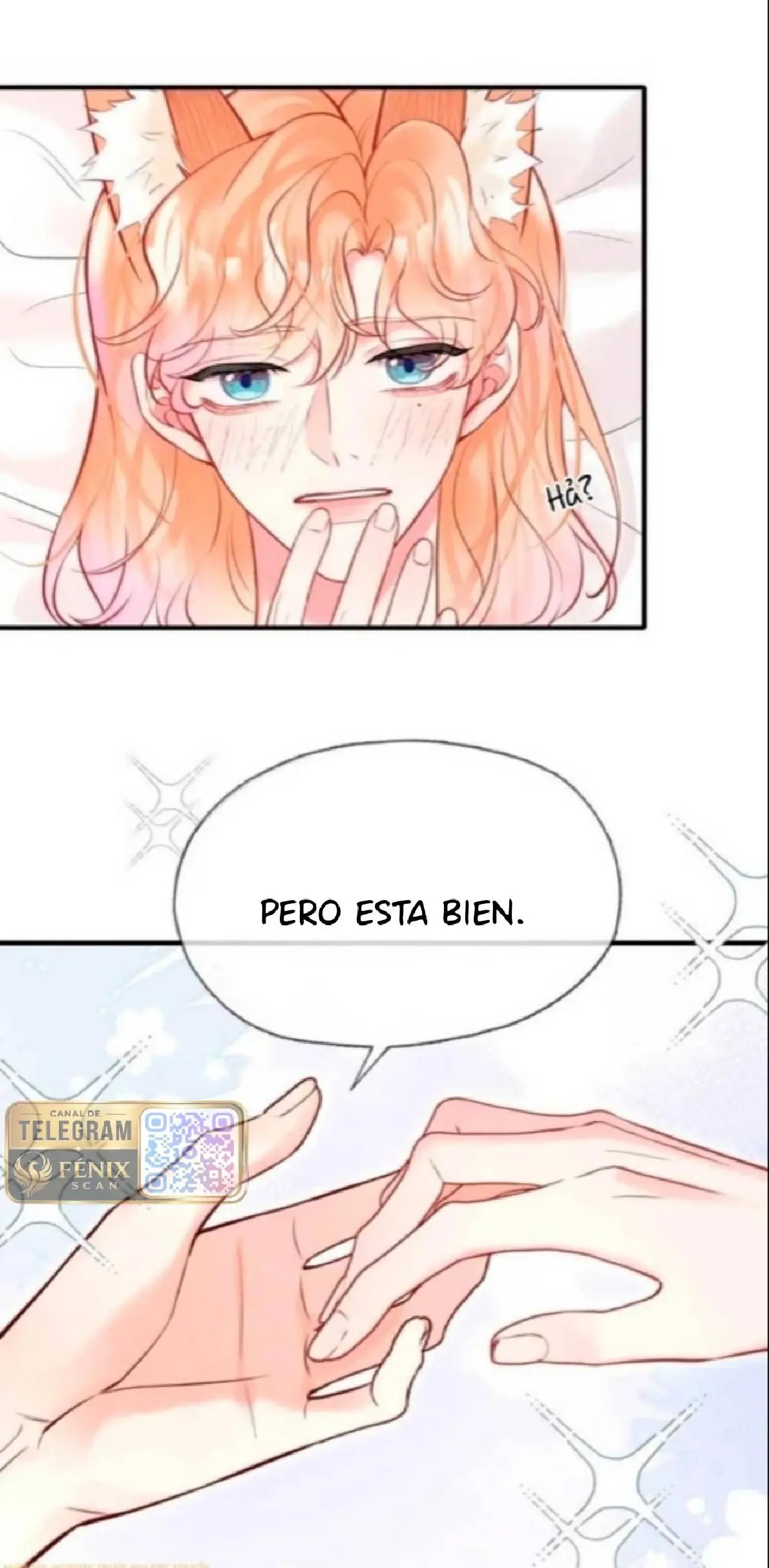 Objetivo Estratégico Capitulo 74 página 15