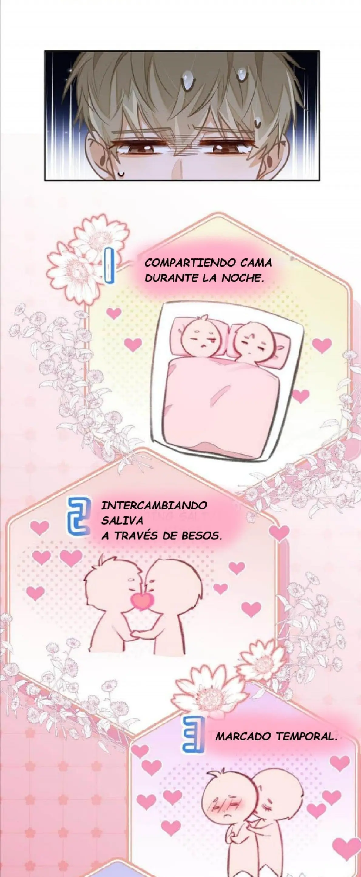 Me Gustan Sus Feromonas Capitulo 19 página 18