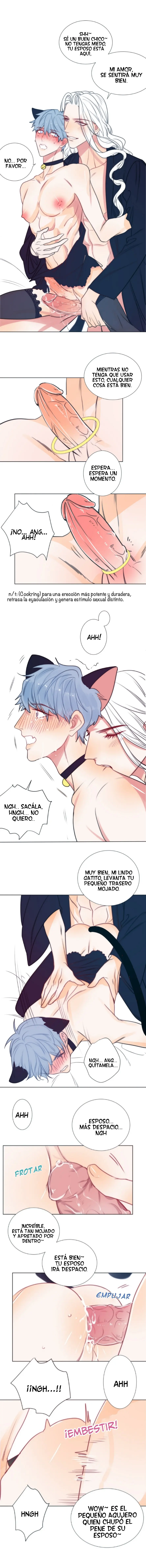 《RING》Arcangel y Querubín Capitulo 59.5 página 13