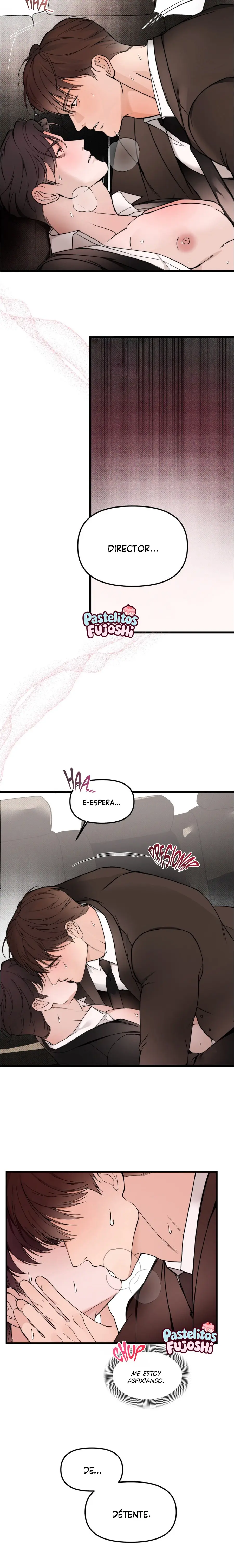 Sobre aspiraciones  omegaverse Capitulo 3 página 9