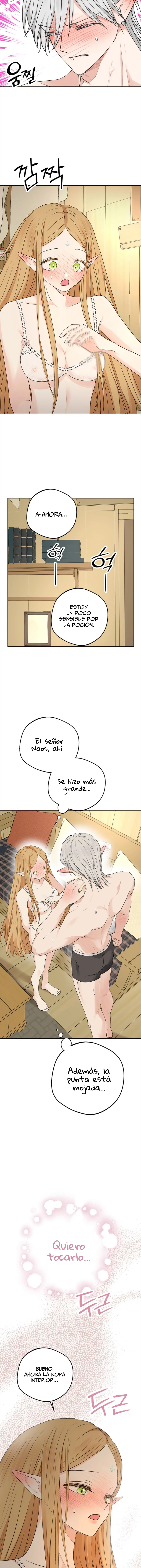 Apareamiento De Elfos Capitulo 11 página 15