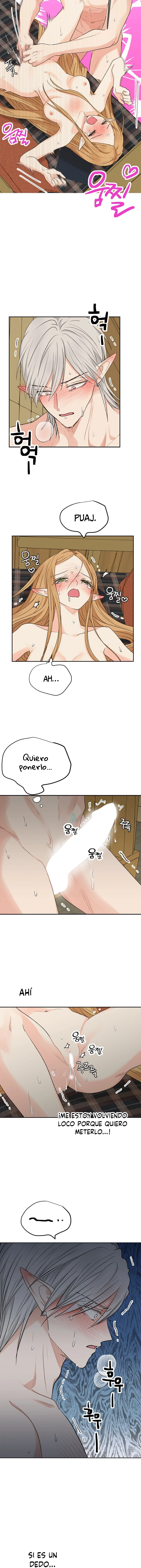 Apareamiento De Elfos Capitulo 12 página 14