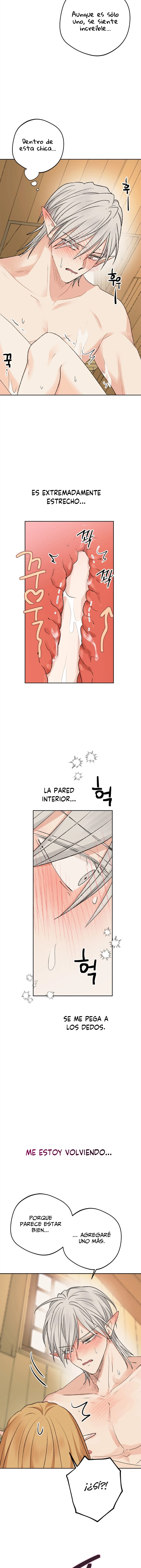 Apareamiento De Elfos Capitulo 12 página 17
