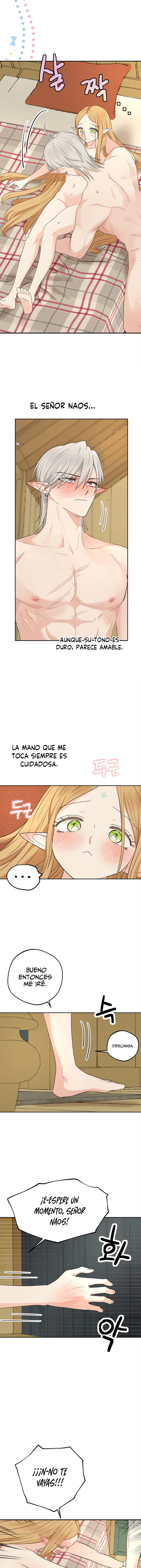 Apareamiento De Elfos Capitulo 13 página 10