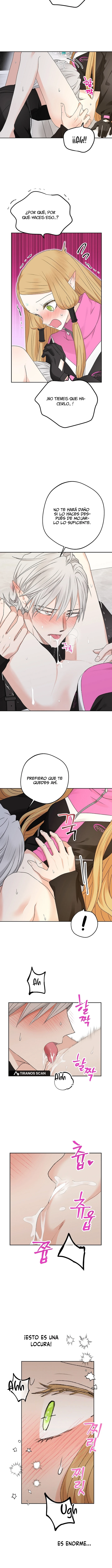 Apareamiento De Elfos Capitulo 22 página 15