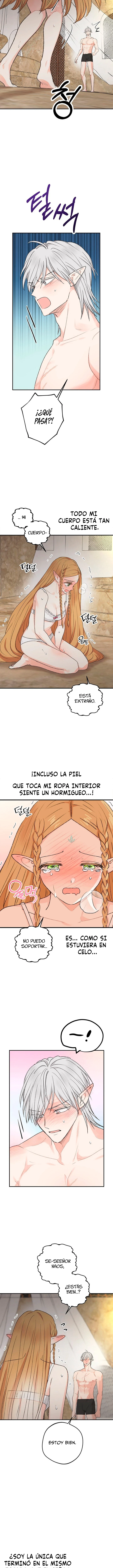Apareamiento De Elfos Capitulo 6 página 10