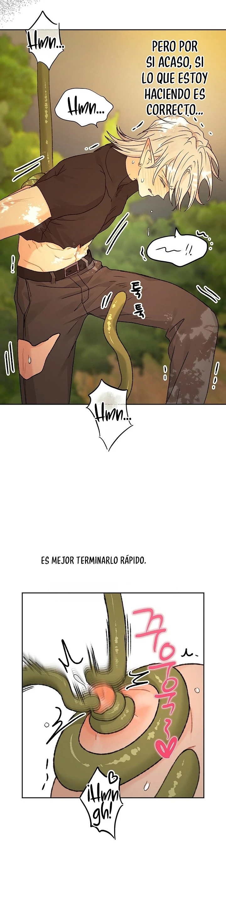 Apareamiento De Elfos Capitulo 68 página 13