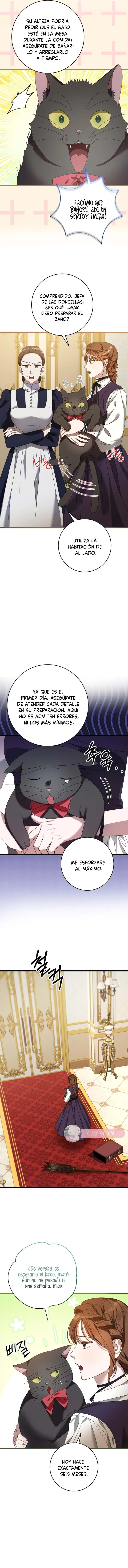 El primer amor es asi, su majestad Capitulo 3 página 19