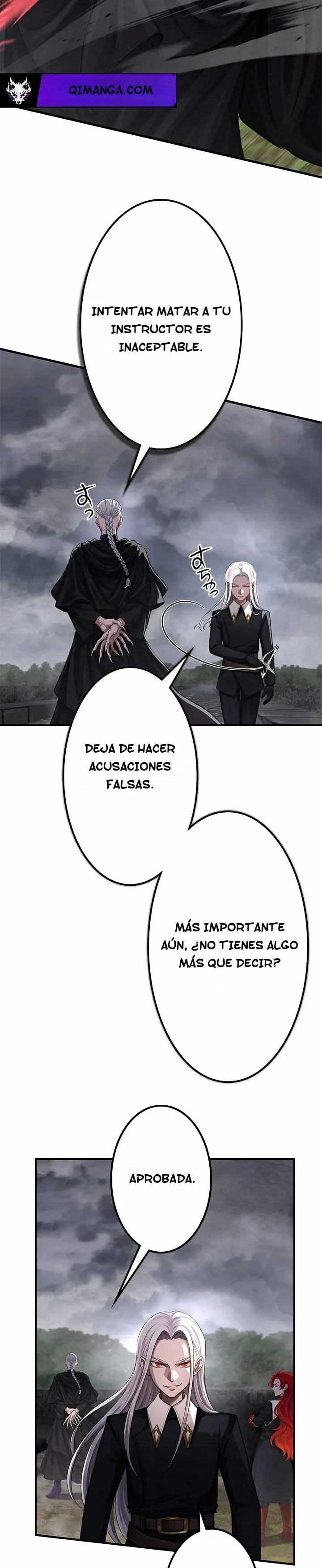 El santo de la espada reencarnado en una familia noble de magos Capitulo 8 página 19