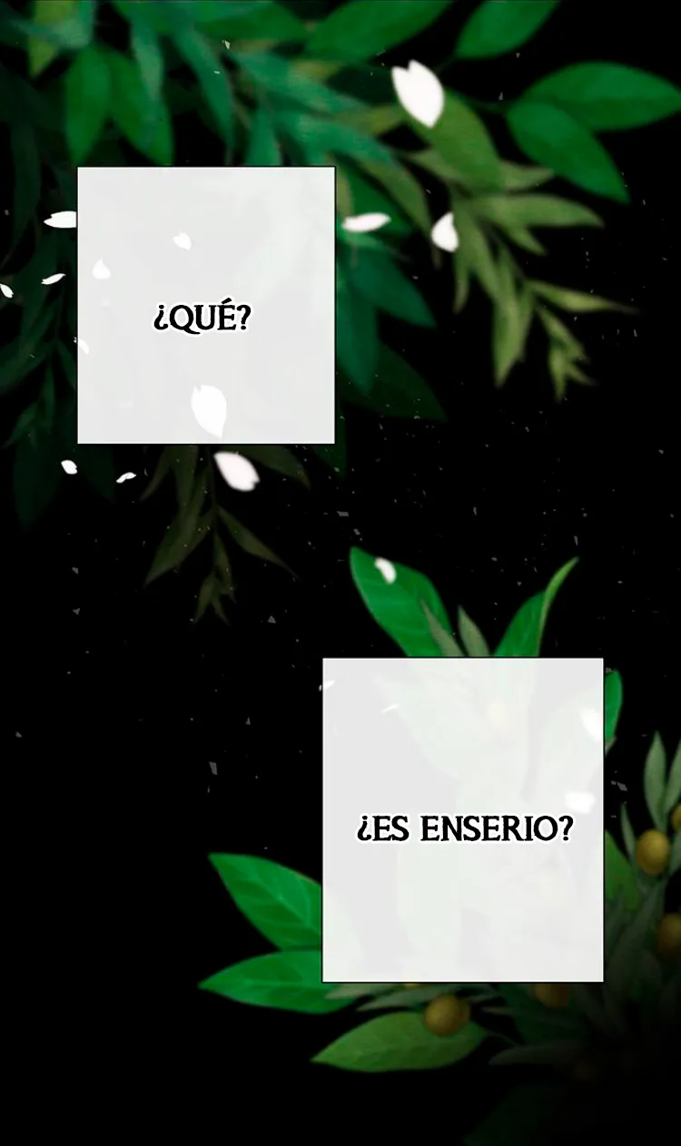 Príncipe problemático Capitulo 24 página 15
