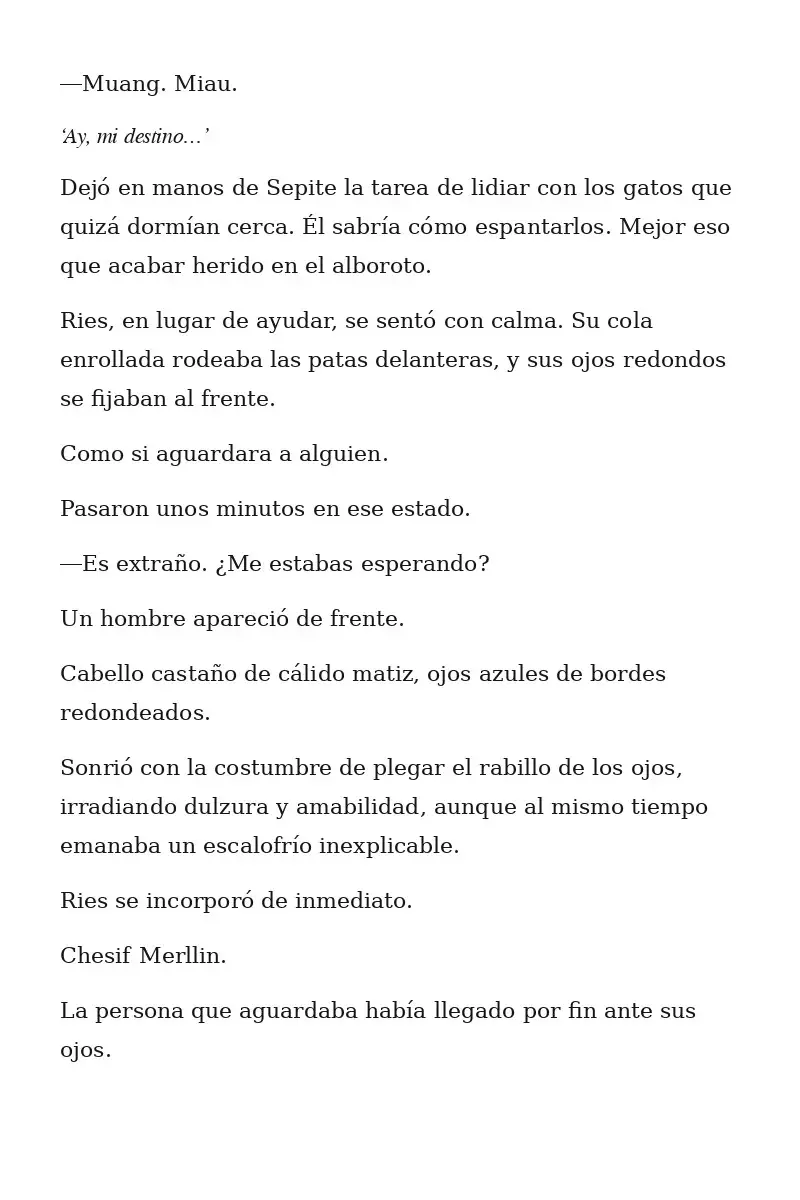 El gato está en huelga Capitulo 209 página 13