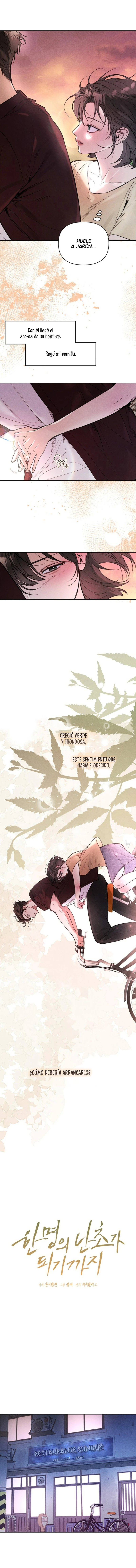 Hasta convertirse en una orquídea Capitulo 12 página 10