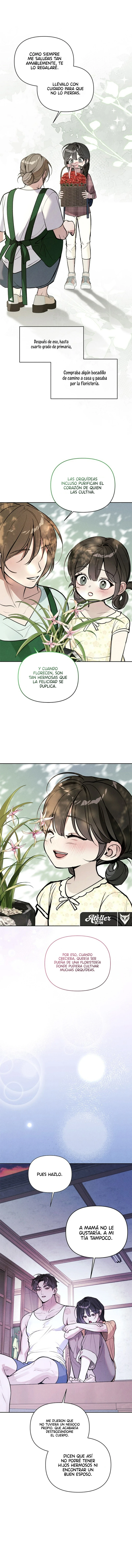 Hasta convertirse en una orquídea Capitulo 15 página 15