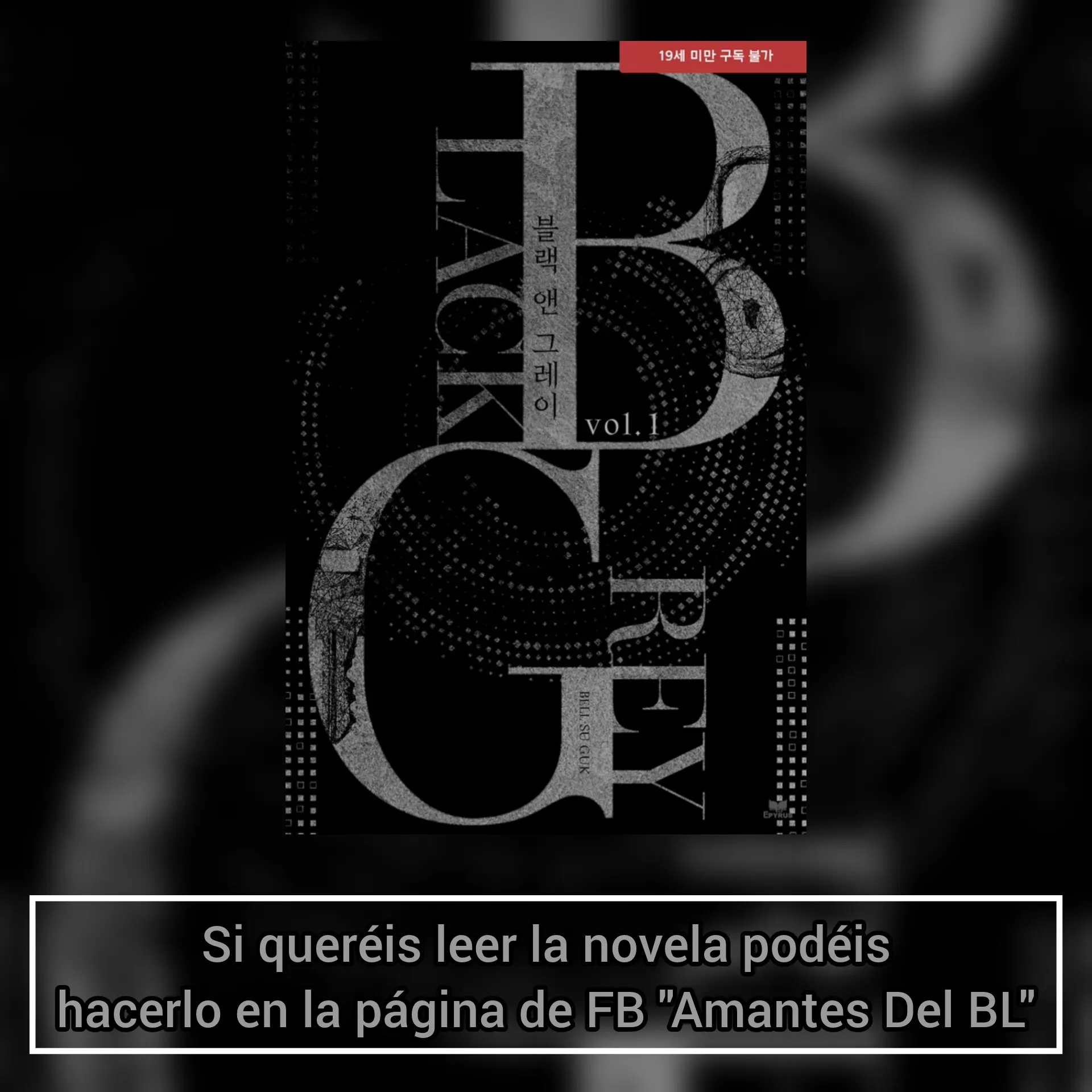 Negro y Gris Capitulo 44 página 26