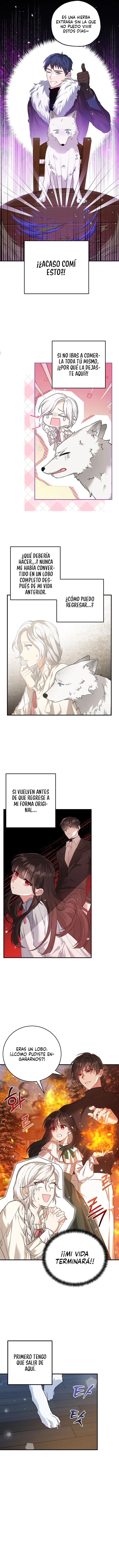 La Heroína Tiene Sus Ojos En Mí Como La Esposa De Su Hermano Capitulo 20 página 5