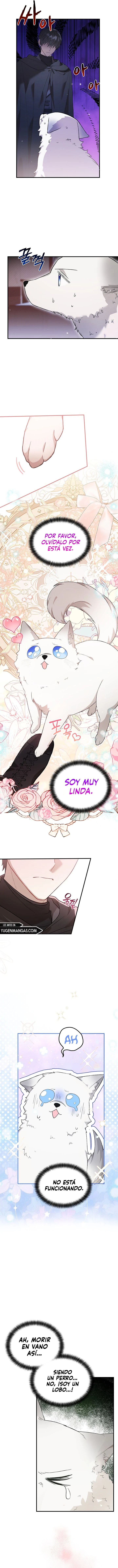 La Heroína Tiene Sus Ojos En Mí Como La Esposa De Su Hermano Capitulo 21 página 5