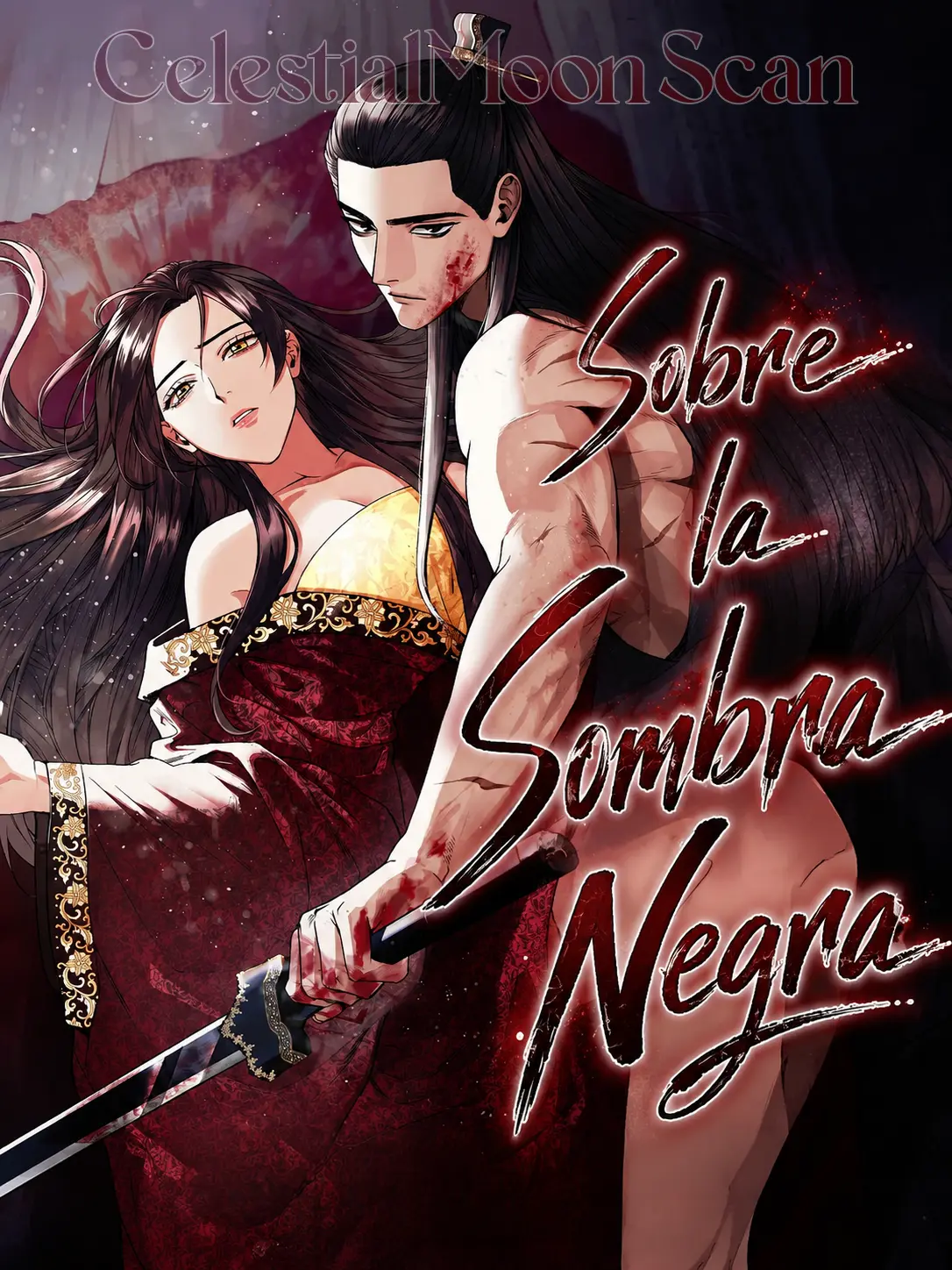 Sobre la Sombra Negra